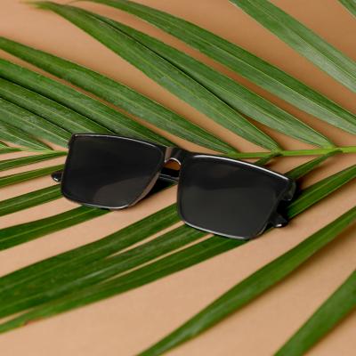 Zaas Full Rim Wayfarer Sunglasses with Nose Pads