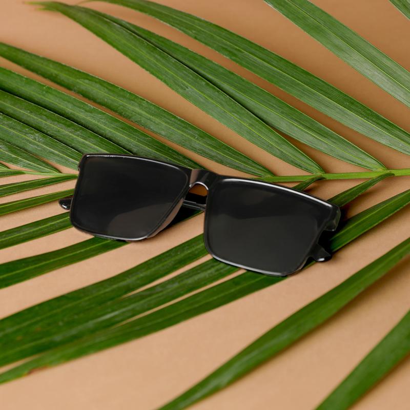 Zaas Full Rim Wayfarer Sunglasses with Nose Pads