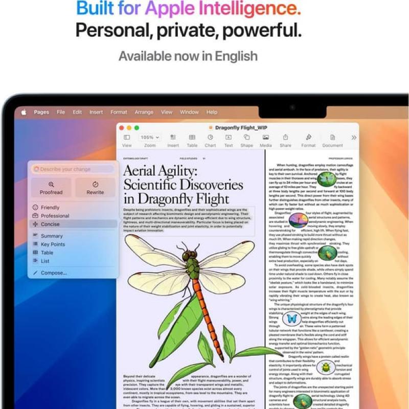 Apple MacBook Air M4 13-inch (2025)