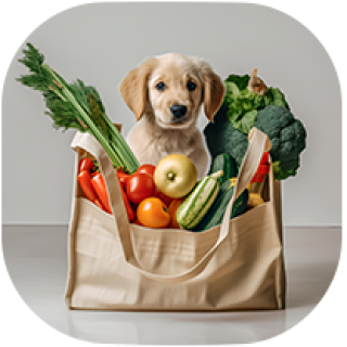 Groceries & Pets